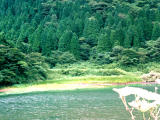 fotografia, materiale, libero il panorama, dipinga, fotografia di scorta,Otama-ga-ike, Hakone, stagno, , 