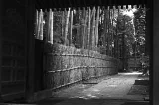 Foto, materiell, befreit, Landschaft, Bild, hat Foto auf Lager,Japanisch entwerfen Sie Gasse, Bambus, steinigen Sie Brgersteig, Tor, 