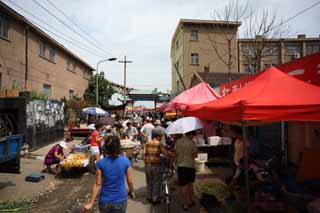 foto,tela,gratis,paisaje,fotografa,idea,Un mercado de ganancia rojo hondo, Mercado, Compartimiento de calle, Compras, Vida