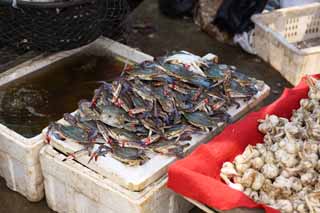 photo,material,free,landscape,picture,stock photo,Creative Commons,A deep red profit market, market, street stall, Shopping, Life