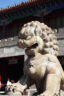 photo,material,free,landscape,picture,stock photo,Creative Commons,A summering mountain cottage pair of stone guardian dogs, lion, stone statue, , Ch'ing