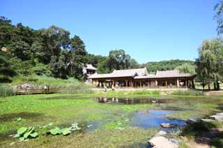 photo,material,free,landscape,picture,stock photo,Creative Commons,A summering mountain cottage far and near spring voice, pond, garden, blue sky, Ch'ing