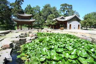 fotografia, materiale, libero il panorama, dipinga, fotografia di scorta,Xiangyuanyiqing di cottage di montagna che passa l'estate, Una pergola, Poesia, Isola di Kanayama, Ch'ing