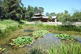 foto,tela,gratis,paisaje,fotografa,idea,Veraneando los yuanes de xiang de casa de campo de montaa yi qing, Una glorieta, Poesa, Isla de Kanayama, Ch 'ing