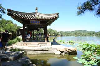 Foto, materiell, befreit, Landschaft, Bild, hat Foto auf Lager,Das bersommern von Gebirgshtte FangZhouPavilion, Brcke, Lotosblume, Boot, Ch'ing