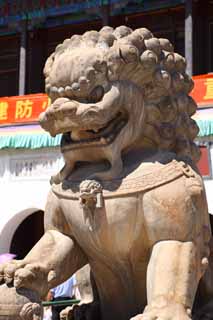 Foto, materieel, vrij, landschap, schilderstuk, bevoorraden foto,Een Putuozongchengtemple tweetal van stenige beschermer honden, Tibet, Chaitya, Slagtand, Leeuw