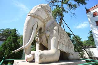 photo,material,free,landscape,picture,stock photo,Creative Commons,A PutuoZongchengTemple elephant image, Tibet, Chaitya, I am splendid, elephant