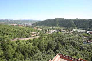 photo,material,free,landscape,picture,stock photo,Creative Commons,Putuo Zongcheng Temple, Tibet, Chaitya, Faith, forest