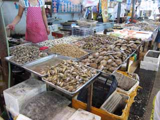 Foto, materiell, befreit, Landschaft, Bild, hat Foto auf Lager,Ein stlicher Randmarkt, Geschft, Markt, Fische kaufen ein, Es ist lebhaft