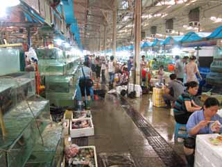 Foto, materiell, befreit, Landschaft, Bild, hat Foto auf Lager,Ein stlicher Randmarkt, Geschft, Markt, Fische kaufen ein, Es ist lebhaft