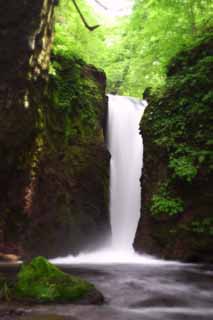 Foto, materiell, befreit, Landschaft, Bild, hat Foto auf Lager,Ryugaeshi-Wasserfall, Wasserfall, Fluss, zartes Grn, 