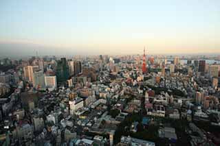 photo,material,free,landscape,picture,stock photo,Creative Commons,Dusk of Tokyo, Tokyo Tower, Building group, The downtown area, high-rise building