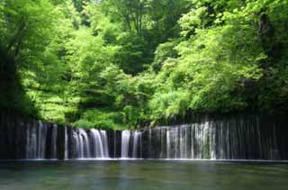 photo, la matire, libre, amnage, dcrivez, photo de la rserve,Shiraito-aucun-taki, chute d'eau, ruisseau, vert tendre, rivire