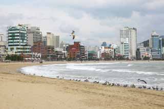 photo,material,free,landscape,picture,stock photo,Creative Commons,Pusan Guangan village, wave, sandy beach, building, The sea