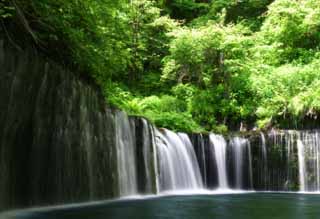 Foto, materieel, vrij, landschap, schilderstuk, bevoorraden foto,Shiraito niet-taki, Waterval, Kreek, Inschrijving groen, Rivier