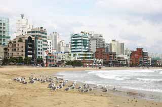 Foto, materiell, befreit, Landschaft, Bild, hat Foto auf Lager,Pusan Guangan-Dorf, Welle, sandiger Strand, Gebude, Das Meer