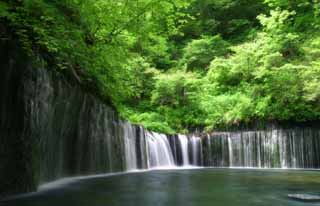 Foto, materieel, vrij, landschap, schilderstuk, bevoorraden foto,Shiraito niet-taki, Waterval, Kreek, Inschrijving groen, Rivier