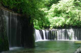 Foto, materiell, befreit, Landschaft, Bild, hat Foto auf Lager,Shiraito-kein-taki, Wasserfall, Strom, zartes Grn, Fluss