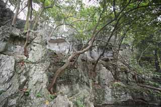 foto,tela,gratis,paisaje,fotografa,idea,Una idea de HangzhouLingyingTemple de Buddha grabar sobre el despeadero corts, Buddhism, Ishibotoke, Idea Buddhist, Fe