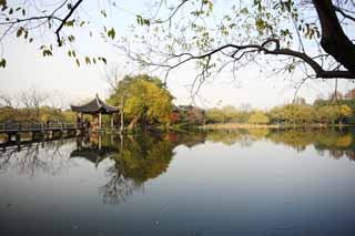 photo, la matire, libre, amnage, dcrivez, photo de la rserve,Trois mirroring de piscines la lune, Un arbre, Saiko, surface d'un lac, monument