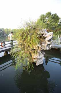 photo, la matire, libre, amnage, dcrivez, photo de la rserve,Trois mirroring de piscines la lune, jardin, Saiko, surface d'un lac, Neuf morceaux Lient