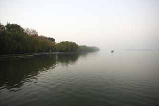 fotografia, material, livra, ajardine, imagine, proveja fotografia,Xi-hu lago, superfcie de um lago, Saiko, salgueiro, 