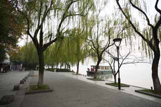 fotografia, material, livra, ajardine, imagine, proveja fotografia,Xi-hu lago, superfcie de um lago, Saiko, salgueiro, 