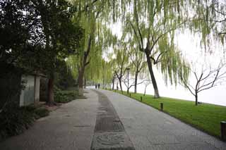 photo,material,free,landscape,picture,stock photo,Creative Commons,Xi-hu lake, surface of a lake, Saiko, willow, 