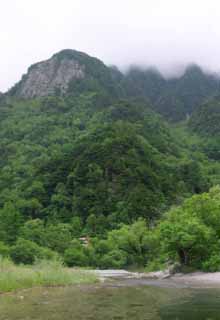 fotografia, materiale, libero il panorama, dipinga, fotografia di scorta,Ruscello e montagna, fiume, albero, acqua, montagna