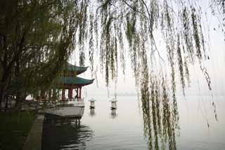 fotografia, materiale, libero il panorama, dipinga, fotografia di scorta,Xi-hu il lago, superficie di un lago, Saiko, salice, 