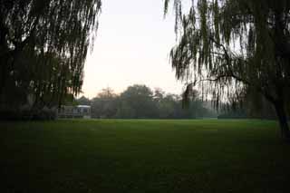 photo,material,free,landscape,picture,stock photo,Creative Commons,Xi-hu lake, lawn, Saiko, willow, 