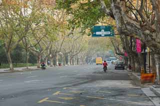 Foto, materieel, vrij, landschap, schilderstuk, bevoorraden foto,Rij van huizen mee een stad straat van Hangzhou, Schaaf boom, Straat, Auto, 