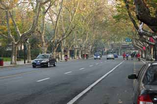 photo,material,free,landscape,picture,stock photo,Creative Commons,Row of houses along a city street of Hangzhou, plane tree, road, car, street