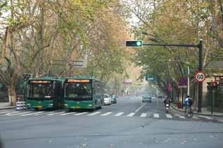 photo,material,free,landscape,picture,stock photo,Creative Commons,Row of houses along a city street of Hangzhou, plane tree, road, car, street