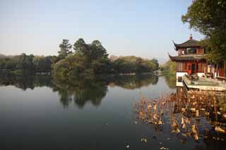 photo,material,free,landscape,picture,stock photo,Creative Commons,A House of music-like load, bridge, lotus, surface of a lake, willow