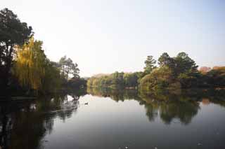 photo,material,free,landscape,picture,stock photo,Creative Commons,A House of music-like load, bridge, lotus, surface of a lake, willow