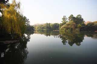 photo,material,free,landscape,picture,stock photo,Creative Commons,A House of music-like load, bridge, lotus, surface of a lake, willow