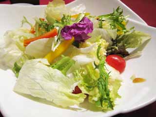 , , , , ,  .,Salad, , Paprika, lettuce,  