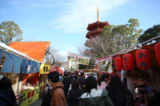 Foto, materieel, vrij, landschap, schilderstuk, bevoorraden foto,Kawasakidaishi, Nieuw bezoek van Jaar naar een Shinto heiligdom, Worshiper, Aftakking, Achthoekige Five Storeyed Pagoda