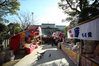 photo,material,free,landscape,picture,stock photo,Creative Commons,Kawasakidaishi, New Year's visit to a Shinto shrine, worshiper, branch, Cavel