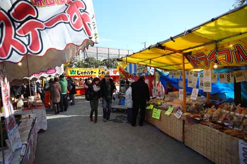 foto,tela,gratis,paisaje,fotografa,idea,Kawasakidaishi, Visita de Ao Nuevo para un santuario sintosta, Filete, Sec fruta, Est de pie