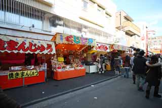 photo, la matire, libre, amnage, dcrivez, photo de la rserve,Kawasakidaishi, La visite de nouvelle anne  un temple shintoste, branche, adorateur, approchez  un temple