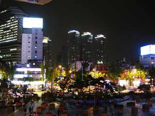 photo,material,free,landscape,picture,stock photo,Creative Commons,Seoul Station, building, I light it up, garden plant, streetlight