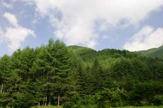 photo, la matire, libre, amnage, dcrivez, photo de la rserve,Montagnes de l't et nuages, montagne, nuage, ciel bleu, bosquet