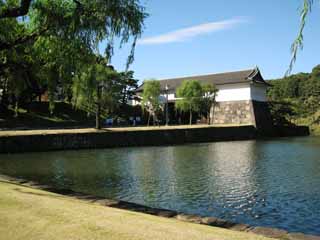 photo,material,free,landscape,picture,stock photo,Creative Commons,Edo-jo Castle, moat, Ishigaki, willow, Sakurada-mon Gate