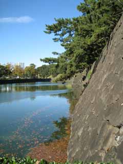 Foto, materieel, vrij, landschap, schilderstuk, bevoorraden foto,Edo-jo Kasteel, Ishigaki, Moat, Pijnboom, Heiwerk-Stones