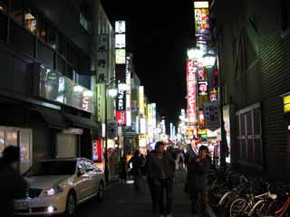 photo,material,free,landscape,picture,stock photo,Creative Commons,Kabukicho, Illuminations, Kabukicho, signboard, Downtown