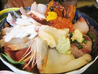 , , , , ,  .,  ,  , cuttlefish, tuna,  yellowtail