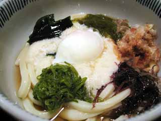 photo,material,free,landscape,picture,stock photo,Creative Commons,Cold water udon, Dried bonito, Seaweed, , Japanese food