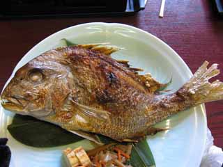 photo, la matire, libre, amnage, dcrivez, photo de la rserve,Le poisson de la cuisson sur le gril avec sel de la brme de mer, vivaneau rouge, grillant poisson avec le sel, Nourriture japonaise, Marron